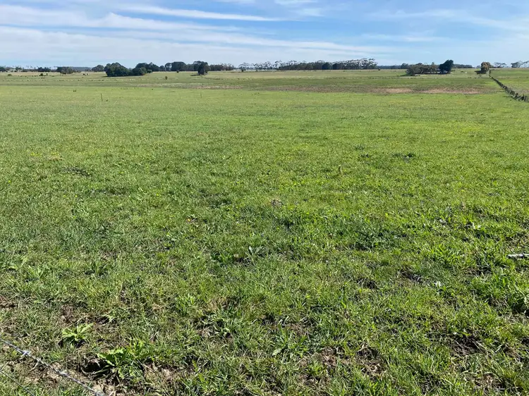 Second view of Homely rural property listing, Jaffrays Road, Wallacedale VIC 3303