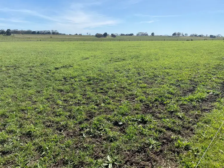 Fourth view of Homely rural property listing, Jaffrays Road, Wallacedale VIC 3303