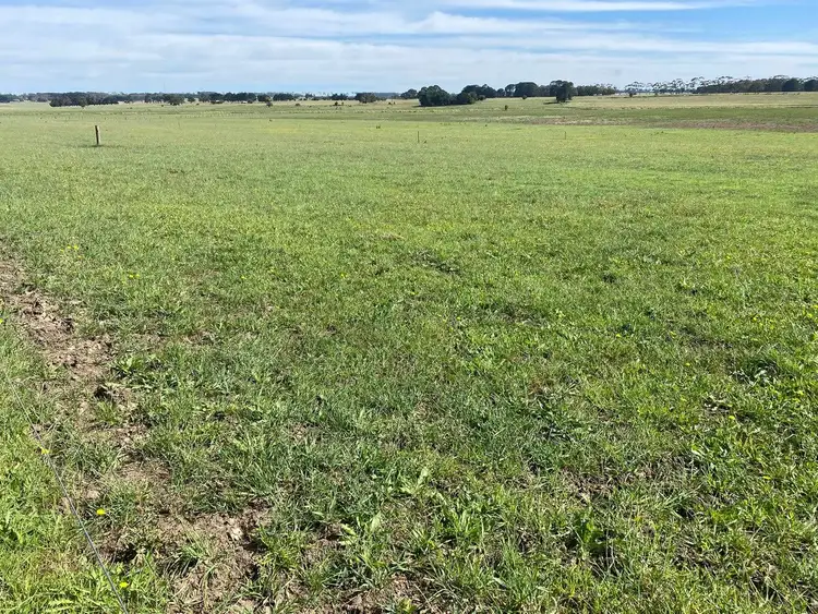 Fourth view of Homely rural property listing, Jaffrays Road, Wallacedale VIC 3303