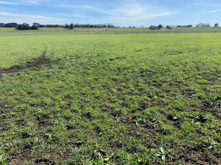 Fifth view of Homely rural property listing, Jaffrays Road, Wallacedale VIC 3303