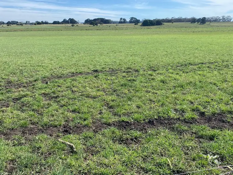 Seventh view of Homely rural property listing, Jaffrays Road, Wallacedale VIC 3303