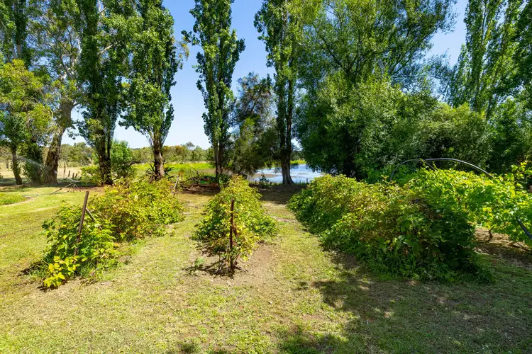 Seventh view of Homely rural property listing, 464 Milltown Mission Road, Heywood VIC 3304