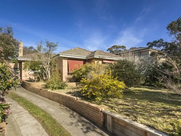 Second view of Homely house listing, 109 Ashburn Grove, Ashburton VIC 3147