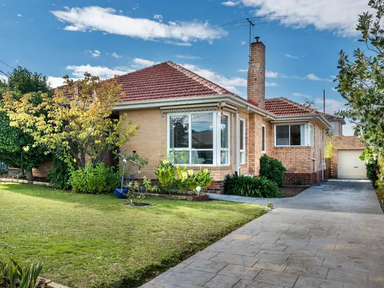 19 Maude Street, Box Hill North VIC 3129