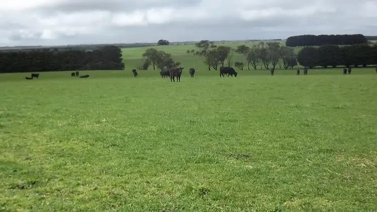 16 Barrys Road, Orford VIC 3284