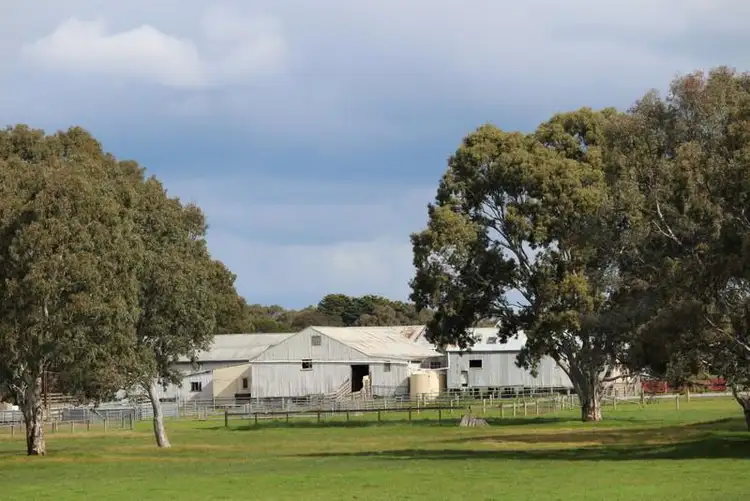 Second view of Homely rural property listing, 333 Springwood Road, Cavendish VIC 3314