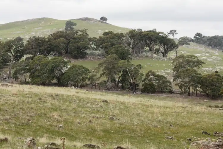 Fifth view of Homely rural property listing, CA50A2 Mission Hill Road, Baynton VIC 3444