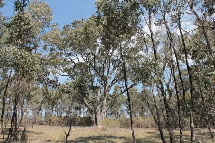 Second view of Homely rural property listing, Lot 21 Davis Road, Mount Camel VIC 3523