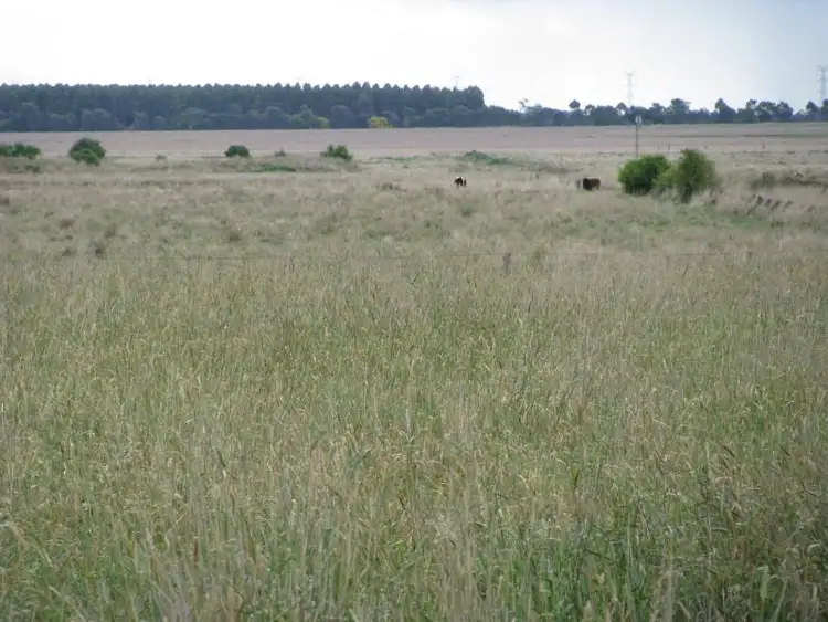 Second view of Homely rural property listing, 1 Connewarran Lane, Mortlake VIC 3272