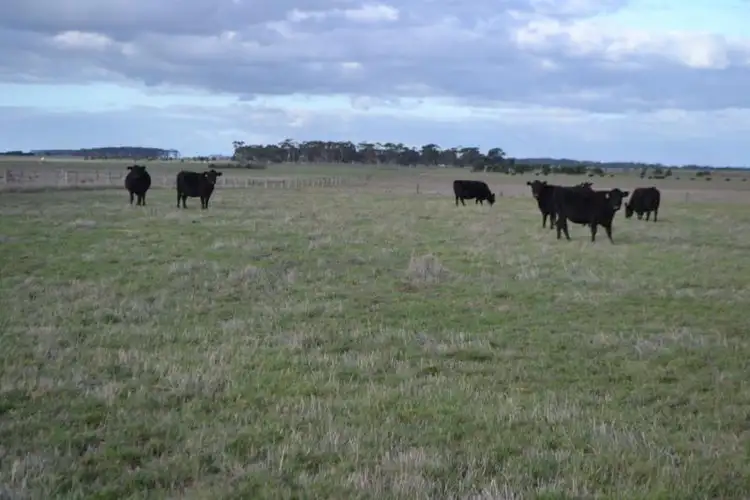Second view of Homely rural property listing, 10 Hinkleys Lane, Kolora VIC 3265