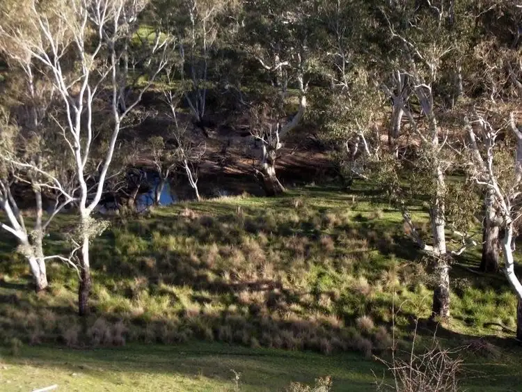 Sixth view of Homely rural property listing, 367 Smokey Creek Road, Chetwynd VIC 3312