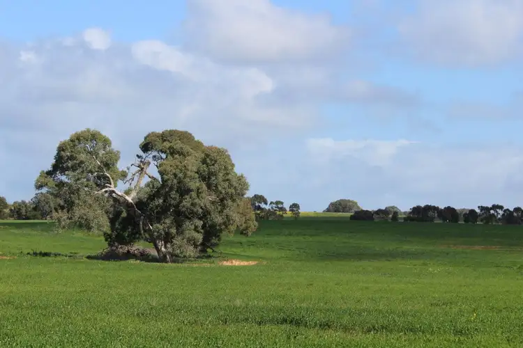 Sixth view of Homely rural property listing, 216 Astons Road, Nareeb VIC 3293