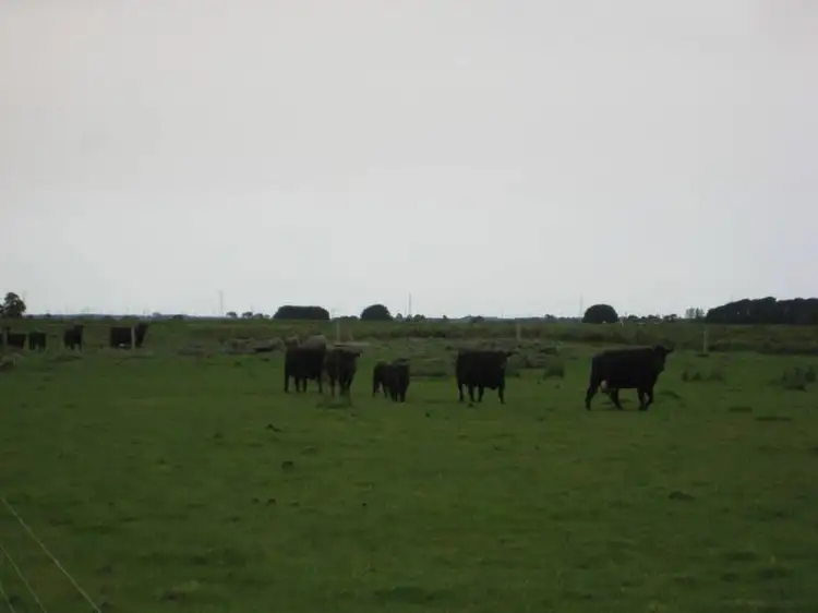 Third view of Homely rural property listing, 1439 Tarrone Lane, Tarrone VIC 3283