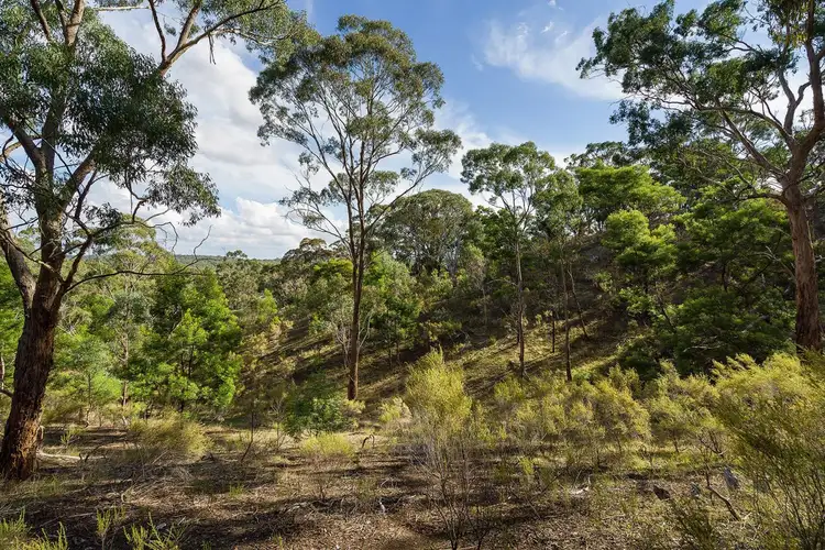Sixth view of Homely house listing, 290 Golden Point Road, Chewton VIC 3451