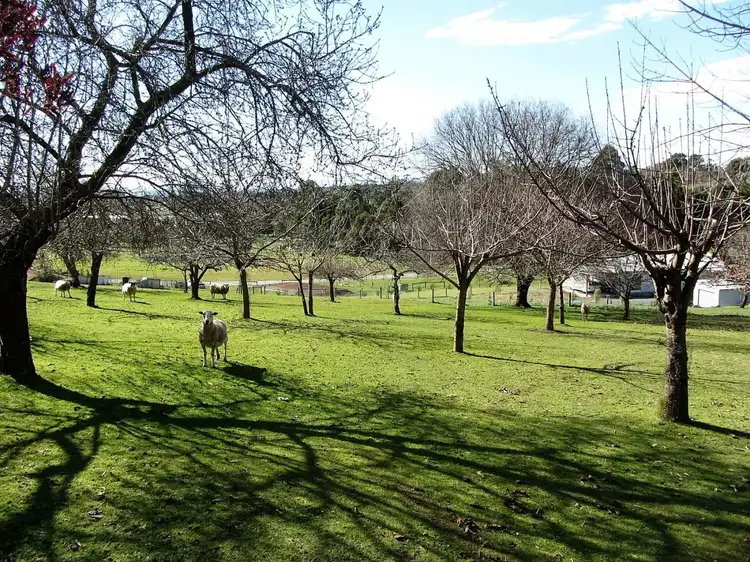 Seventh view of Homely rural property listing, 4 Quentin Court, Drouin VIC 3818