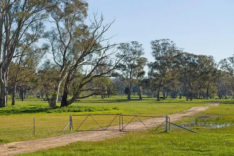 Sixth view of Homely rural property listing, 1325 Muckleford-Walmer Road, Walmer VIC 3463
