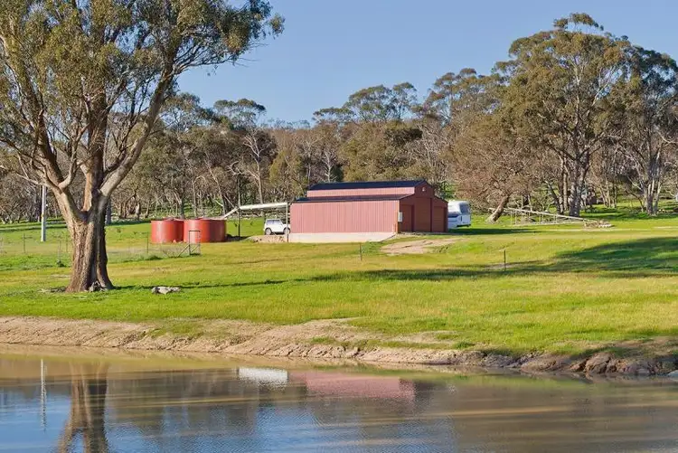 Second view of Homely rural property listing, 1325 Muckleford-Walmer Road, Walmer VIC 3463