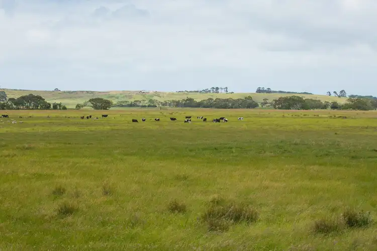 Seventh view of Homely rural property listing, 530 Warrumyea Road, Panmure VIC 3265