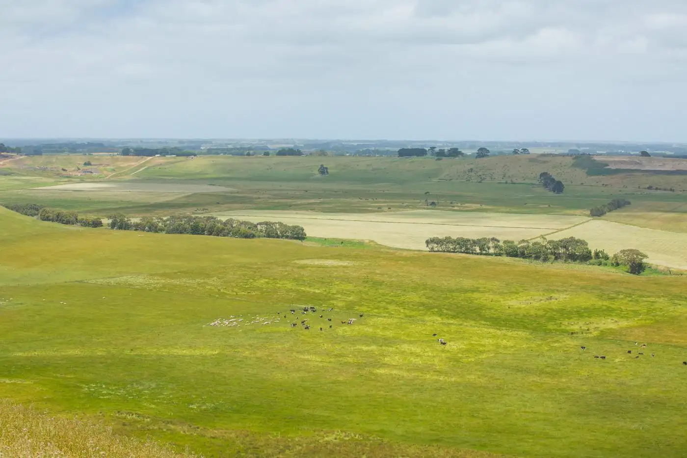 Main view of Homely rural property listing, 530 Warrumyea Road, Panmure VIC 3265