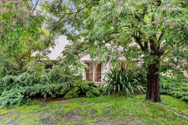 43 Candlebark Lane, Nunawading VIC 3131