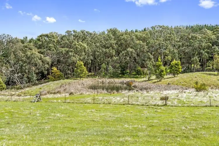 Sixth view of Homely rural property listing, 229 Red Gap Road, Lancefield VIC 3435