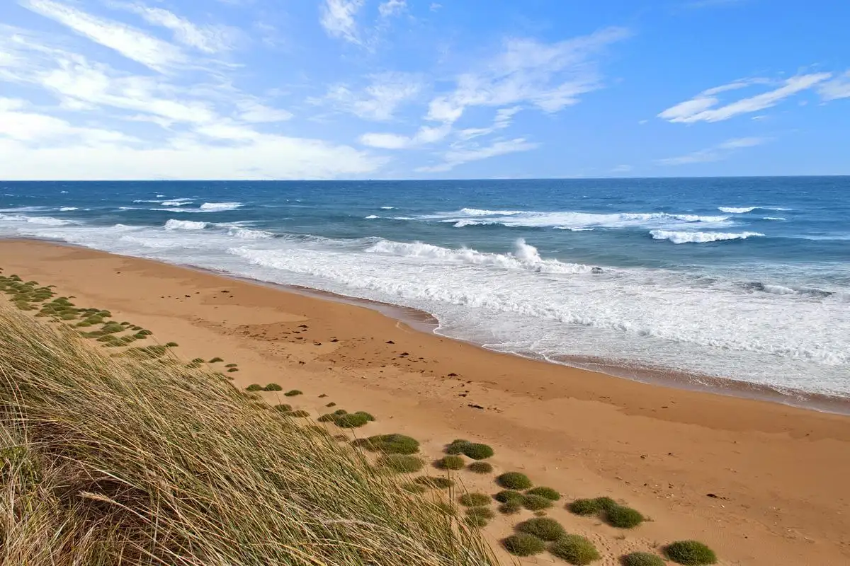 Main view of Homely house listing, 320 Hopkins Point Road, Warrnambool VIC 3280