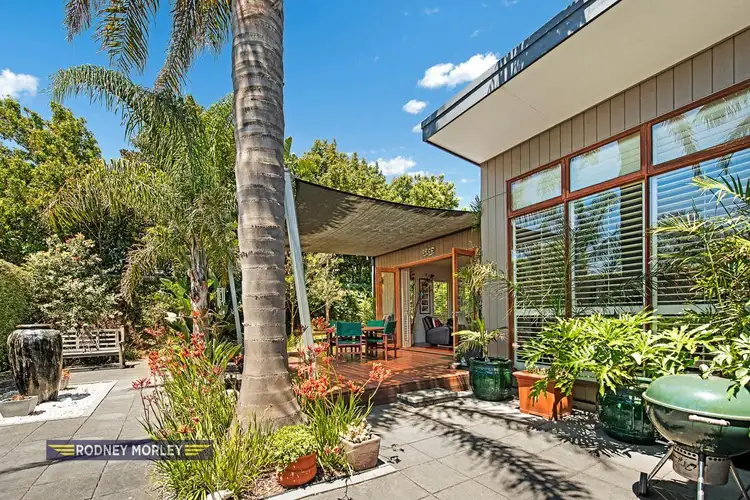 Second view of Homely house listing, 8 Cooke Avenue, Hampton East VIC 3188
