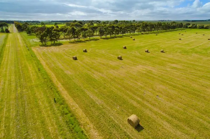 Main view of Homely rural property listing, 803 Shelford Rokewood Road, Shelford VIC 3329