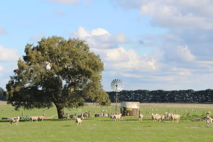 Fourth view of Homely rural property listing, 4691 Hamilton Highway, Penshurst VIC 3289