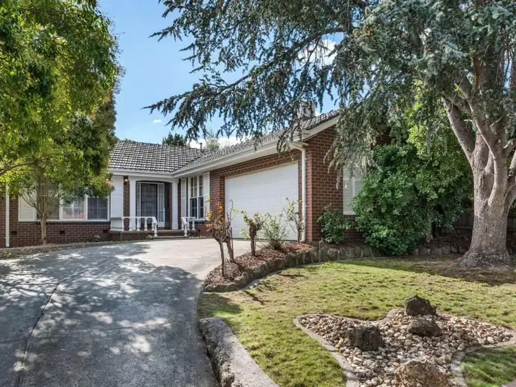 Main view of Homely house listing, 49 Trawool Street, Box Hill North VIC 3129
