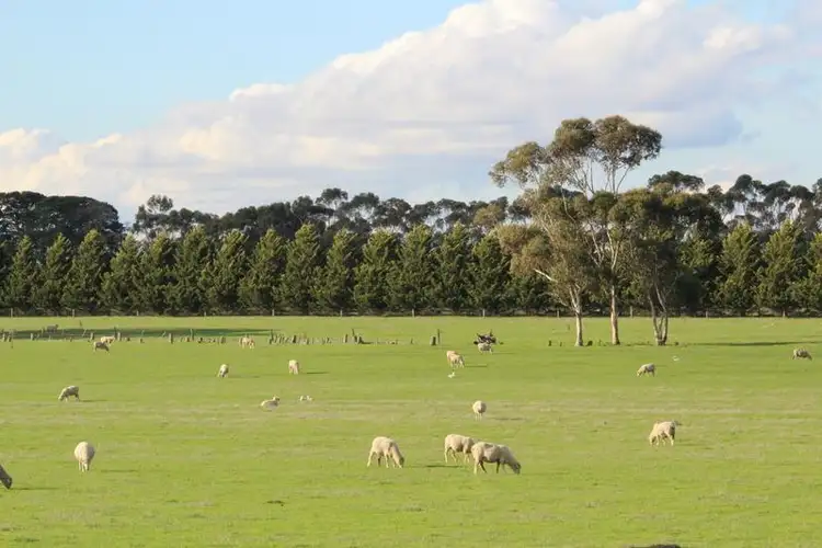 4691 Hamilton Highway, Penshurst VIC 3289