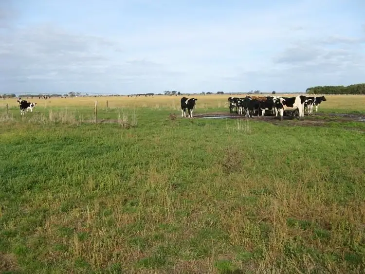 Second view of Homely rural property listing, 158 Chetwynd Lane, Wattle Range SA 5280