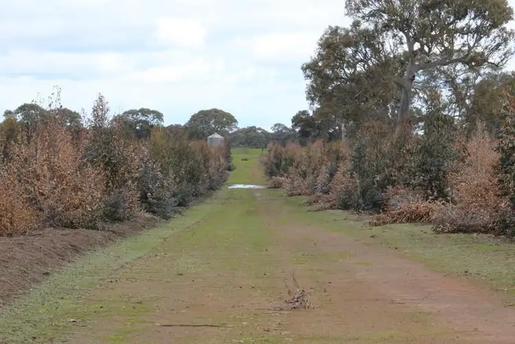 Second view of Homely rural property listing, 50 Sharrocks Road, Bulart VIC 3314