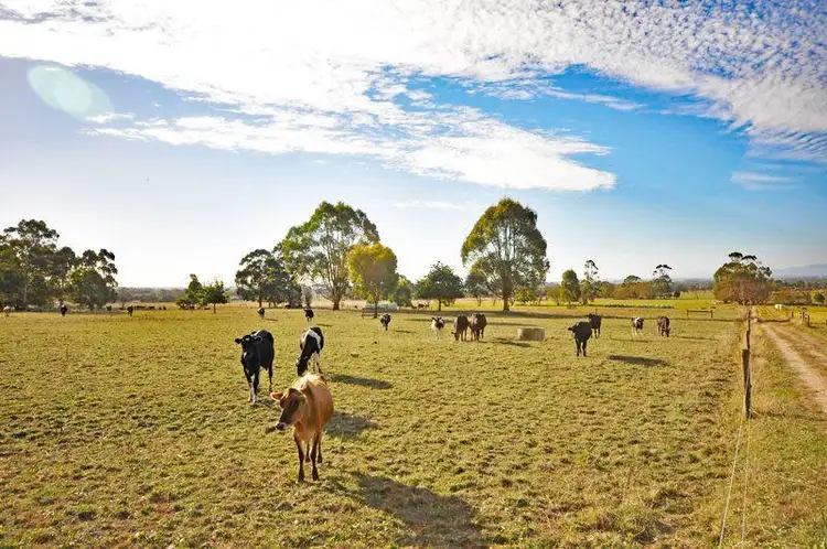 Seventh view of Homely rural property listing, Hazeldean Road, Cloverlea VIC 3822