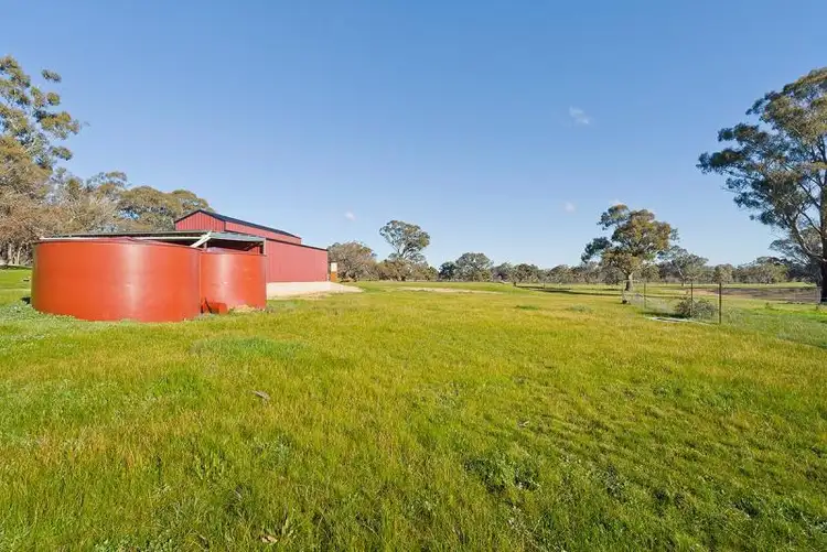 Fifth view of Homely rural property listing, 1325 Muckleford-Walmer Road, Walmer VIC 3463