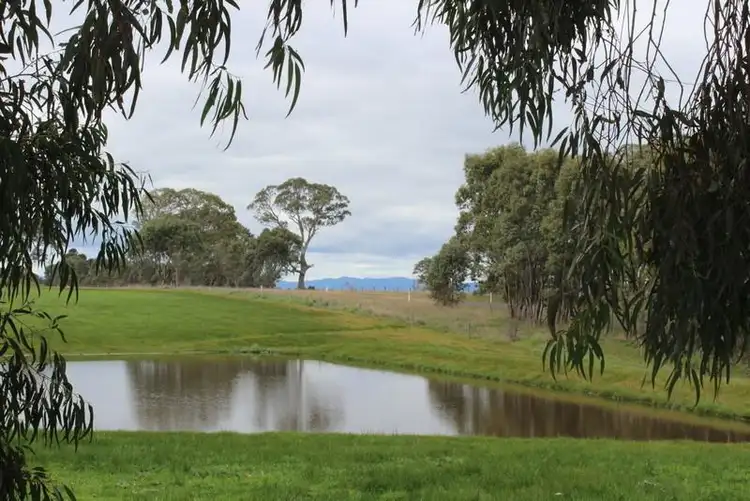 Fourth view of Homely rural property listing, 333 Springwood Road, Cavendish VIC 3314