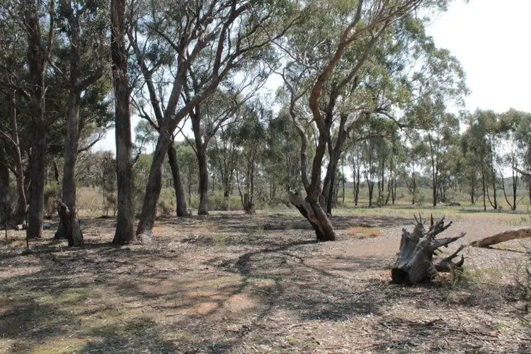Fifth view of Homely rural property listing, Lot 21 Davis Road, Mount Camel VIC 3523
