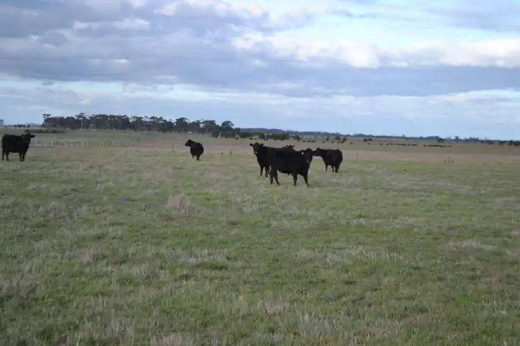 Fourth view of Homely rural property listing, 10 Hinkleys Lane, Kolora VIC 3265