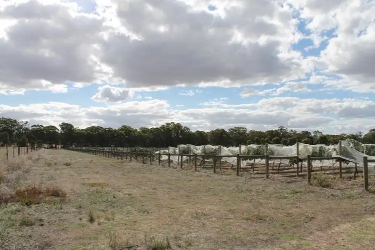 Fourth view of Homely rural property listing, 300 Old Heathcote Road, Heathcote VIC 3523