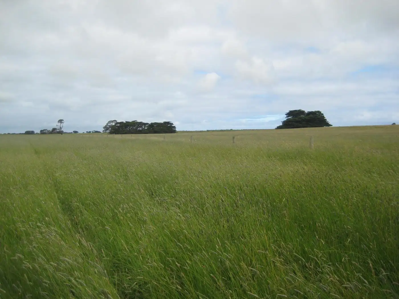 Main view of Homely land listing, 1 Toolong West Road, Toolong VIC 3285