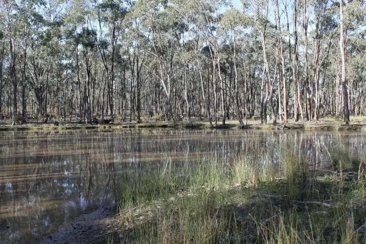 Second view of Homely land listing, Lot 1, Part 140 Tait Hamilton Road, Cornella VIC 3551