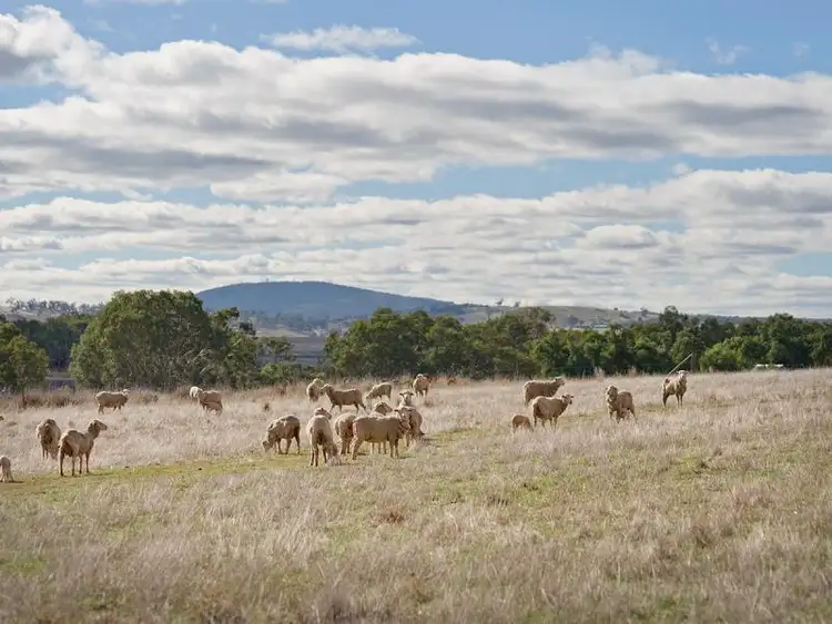Fifth view of Homely house listing, 50 Annands Lane, Newstead VIC 3462