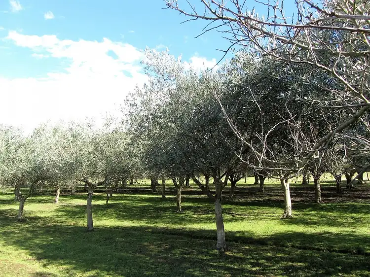 Third view of Homely rural property listing, 4 Quentin Court, Drouin VIC 3818