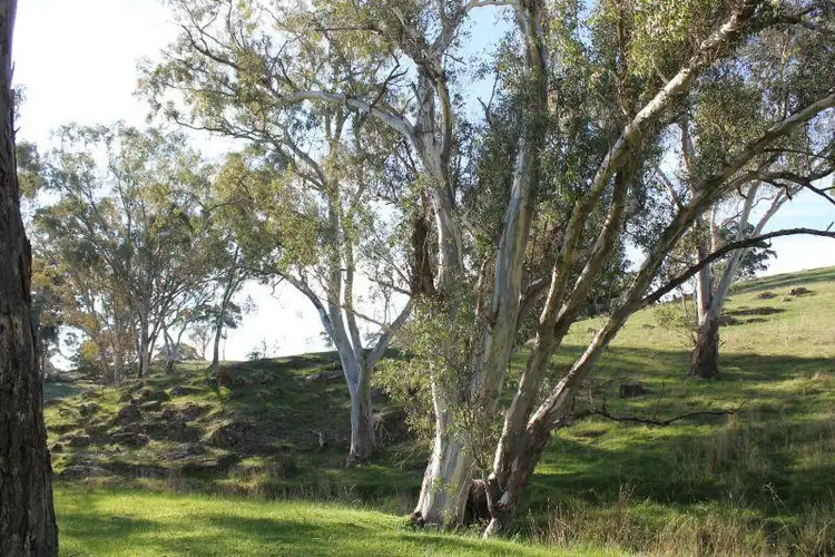 Sixth view of Homely rural property listing, Lot 2, 670 Spring Flat Road, Heathcote VIC 3523