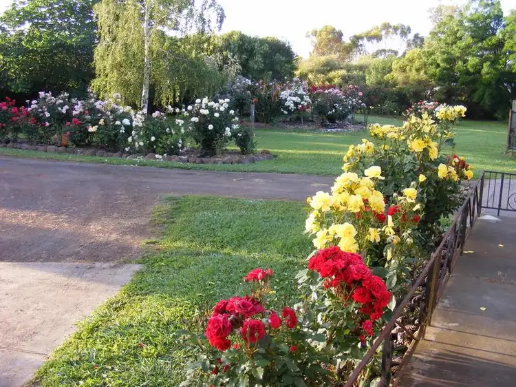 Seventh view of Homely rural property listing, 6101 Henty Highway, Branxholme VIC 3302