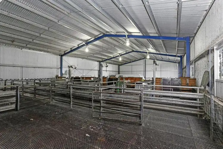 Seventh view of Homely rural property listing, 70 Glenthompson Road, Caramut VIC 3274