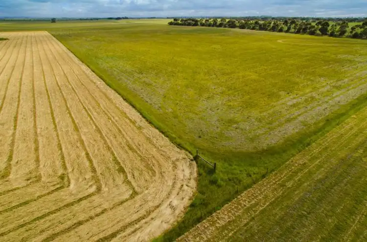 Sixth view of Homely rural property listing, 803 Shelford Rokewood Road, Shelford VIC 3329