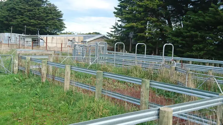 Fourth view of Homely rural property listing, 290 Milangil Estate Road, Kariah VIC 3260