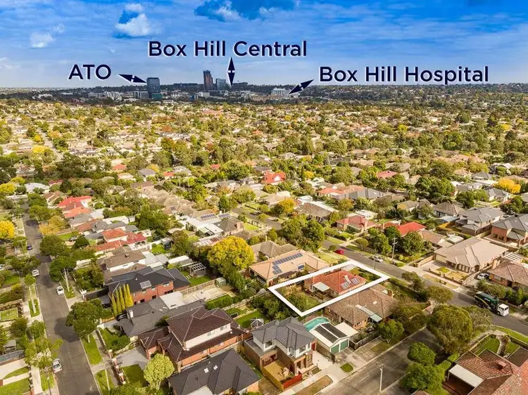Third view of Homely house listing, 19 Maude Street, Box Hill North VIC 3129