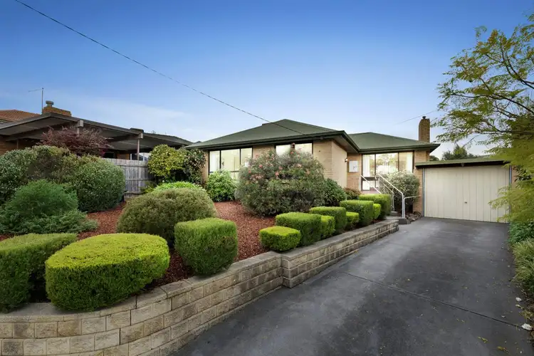 Main view of Homely house listing, 16 Hibiscus Road, Blackburn North VIC 3130